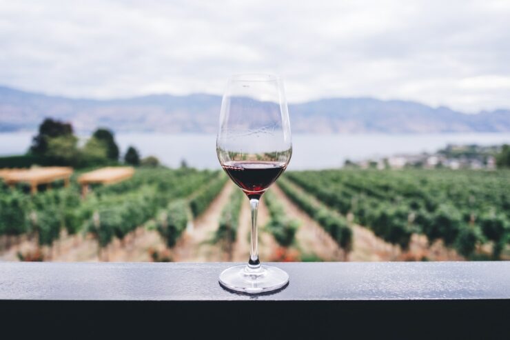 Wina ekologiczne - czym różnią się od win konwencjonalnych?