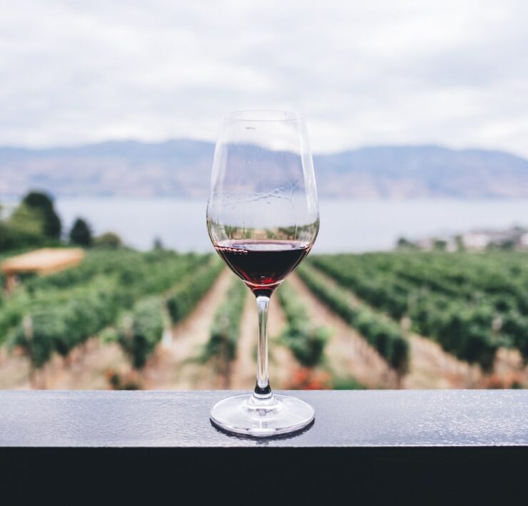 Wina ekologiczne - czym różnią się od win konwencjonalnych?