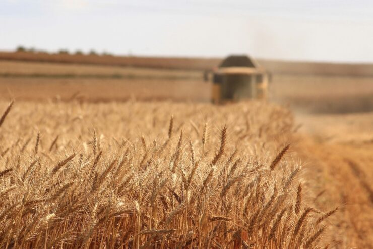 Ekonomiczne aspekty inwestycji w nowoczesne maszyny rolnicze