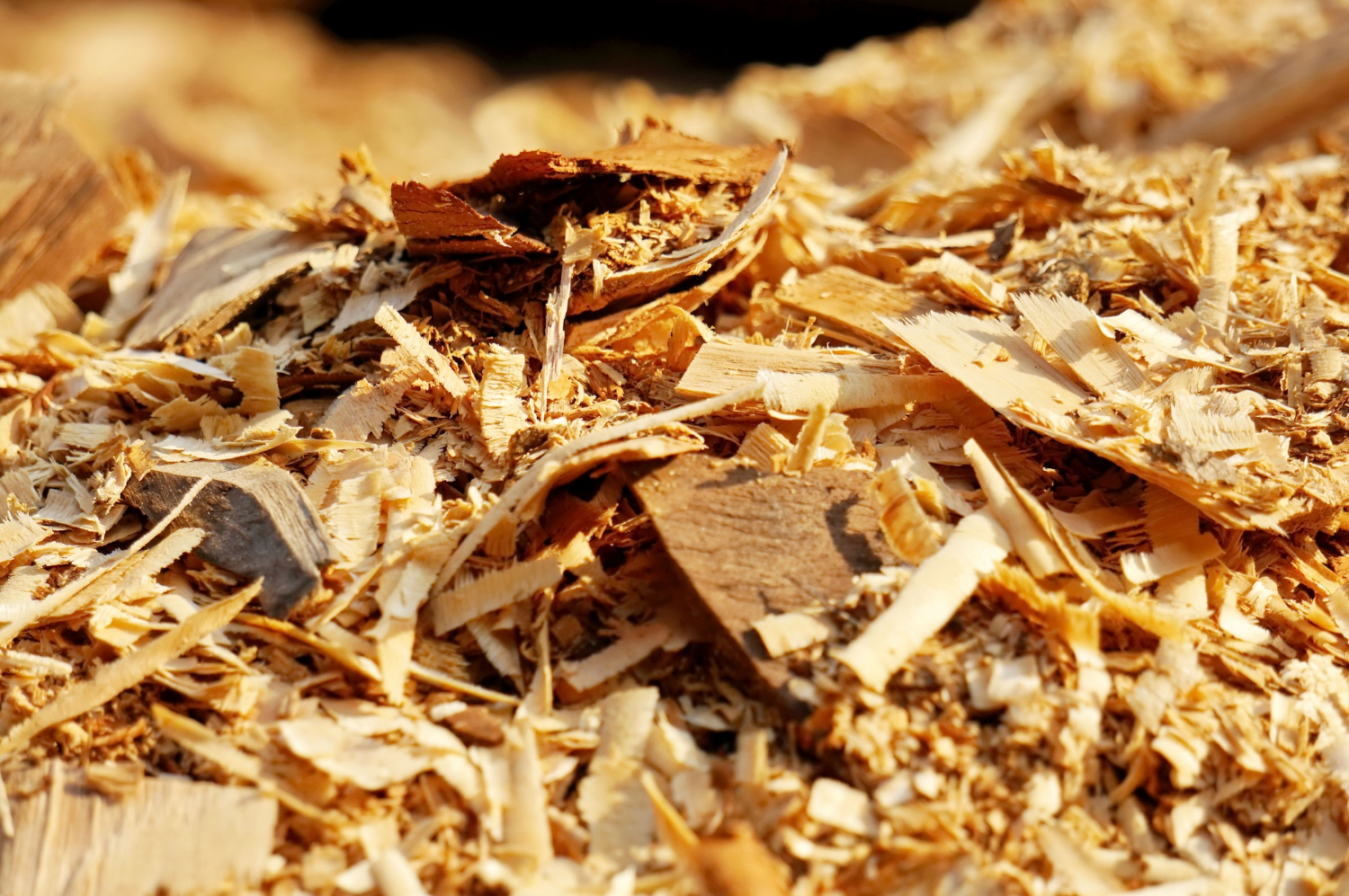 Zrębki drzewne -odpady drzewne jako gotowe paliwo