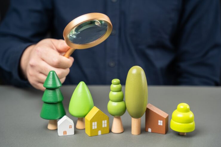 Inwentaryzacja dendrologiczna i zieleni - kiedy jest wymagana i jak ją wykonać