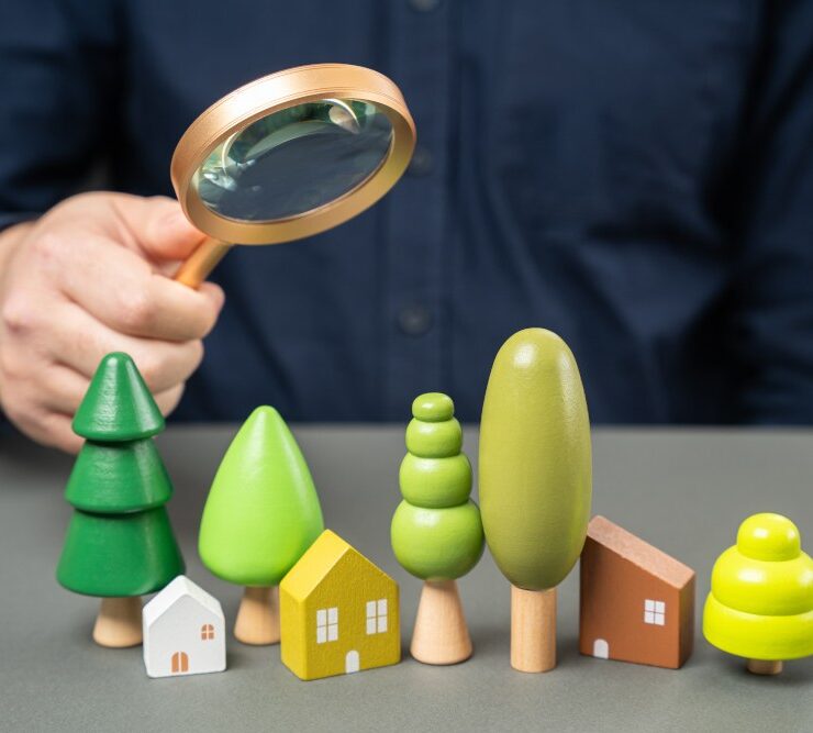 Inwentaryzacja dendrologiczna i zieleni - kiedy jest wymagana i jak ją wykonać