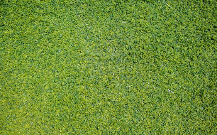 Malutkie traktorki - do jakich zadań sprawdzą się najlepiej?