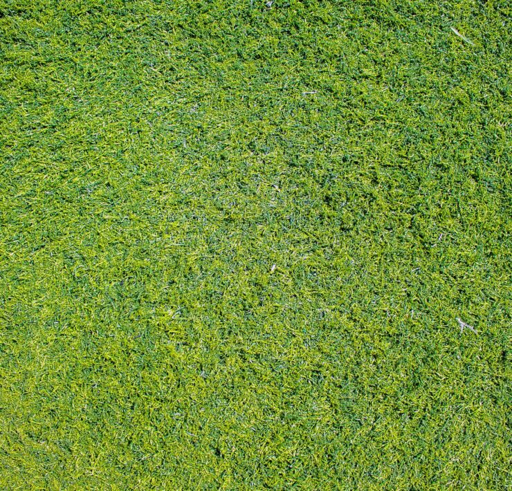 Malutkie traktorki - do jakich zadań sprawdzą się najlepiej?