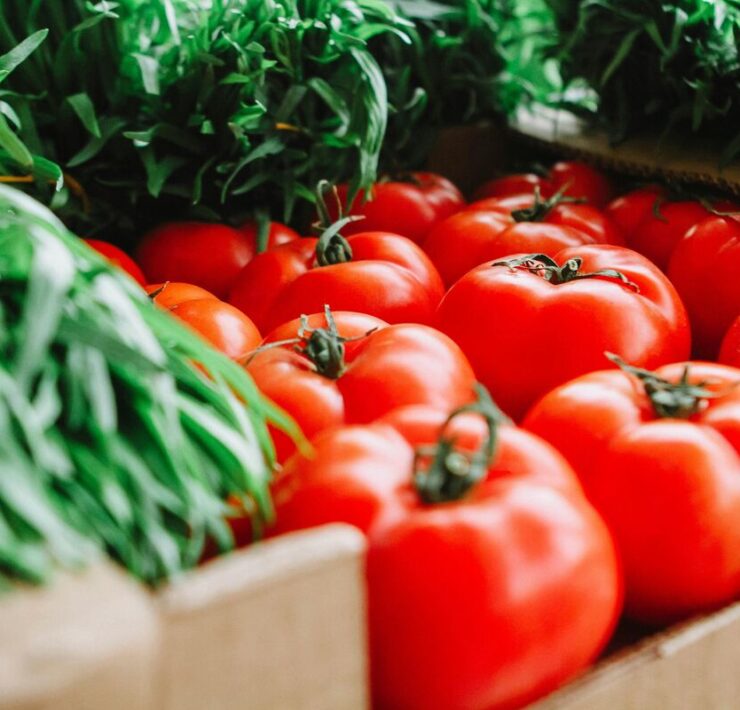 Najczęstsze błędy w uprawie pomidorów szklarniowych